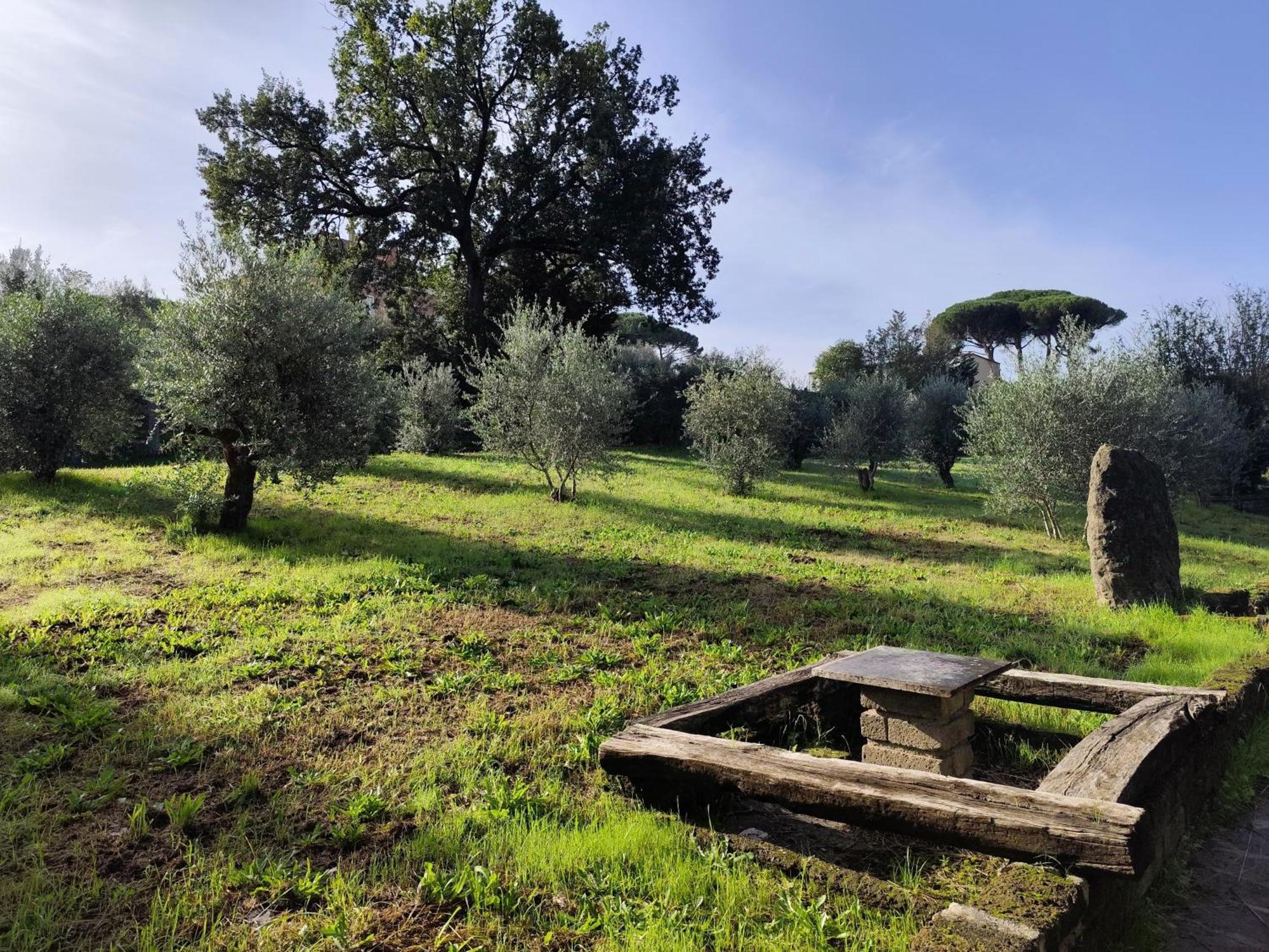 Green Hotel Poggio Regillo Frascati Exteriér fotografie